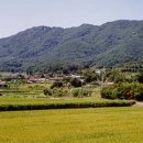 혼불문학