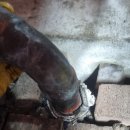 선비목욕탕 이미지