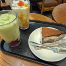 (주)현대백화점 울산동구점 | [울산] 현대백화점 울산동구점 스타벅스 &amp; 랑콩뜨레 망고망고 내돈내산 후기