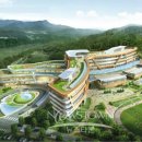 국립교통재활병원 티스토리