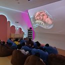 문화동로 이미지