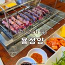전주 양꼬치 맛집 한옥마을 인근 현지인 추천 용성양 내돈내산 솔직후기
