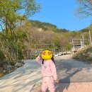 캠핑스토리 | 아이와 강원도 철원 캠핑⛺️ 매월대폭포캠핑장 후기+밀크스토리 카이막 디저트 맛집 추천🍦