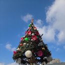 튼튼약국 | 남대문 약국 왕솔 상비약 구입 (튼튼머니 제로페이)