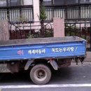 블랑카