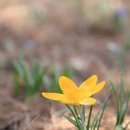 금수산 농원 이미지