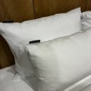 로타리PC | [충북/충주]브라운도트 젊음의거리점 깔끔한 비즈니스호텔 후기 출장 여행 숙박