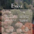 호텔109 | [부케 기프트] 프로 부케순이가 선택한 부케 기프트, 고척동 ‘므네브’