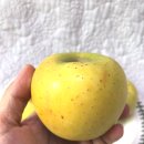 이미자농장 이미지