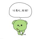 [Vol. 2] 결정사? 저는 진짜 못 들어 봐 가지고... 거짓말 탐지기 ㄱㄱ | 결혼정보회사 가입 후기