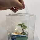 송파 캔들공방 아틀리에 조애, 여름 감성 가득한 젤캔들 만들기 클래스 후기 🌴