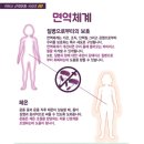 커브스 아현클럽 네이버블로그