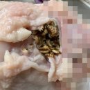 하림생닭 - 남구 동명로152번길 74 | 하림생닭