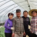 이재봉농장 이미지