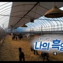 염소사랑농장 이미지