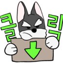 마드레펫 이미지