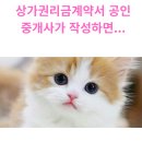 금지개공인중개사사무소 | 상가 권리금계약서,공인중개사가 작성해도 될까?중개보수 받으면 불법인가?