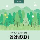 영양군 공설운동장 이미지