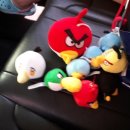 비고리조트 8 이미지