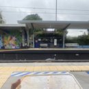 티오메디칼 | 호주 브리즈번 워홀 / 근교 세컨 비자 가능 공장 직컨 후기