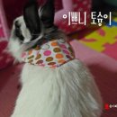 토끼먹골 이미지