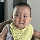 행은목장 | 아기 요거트 언제부터? | 상하목장 베이비 요거트 내돈내산 후기