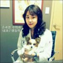 영국동물병원 이미지