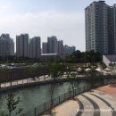 아이리안경 이미지