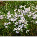 사곡중학교 이미지