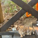 라벨르 스파 펜션 이미지