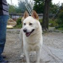 입석농장 이미지