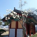 예덕옹심이칼국수 이미지