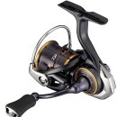 카르디아 이미지