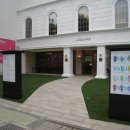 제이브라우니 이미지