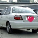 세피아 - 16276 | 세피아