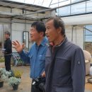 김재성농장 이미지