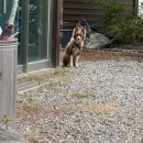 큰소나무가든 이미지