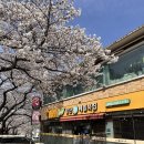 앞산손메밀묵집 | 앞산 맛집 앞산손메밀묵집 벚꽃길 산책 후 추천