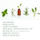 아로마테라피&DIY 이미지