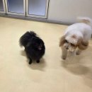 헬로우버디 판교밸리점 이미지