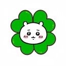 우림미디어 이미지