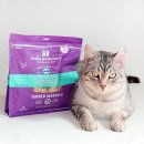 JMT 개밥집 이미지