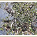 온달농장 이미지