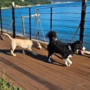 거제도더베이1804풀빌라펜션 이미지