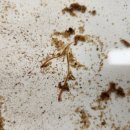 생물자원연구소 이미지