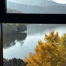 폴바셋대구수성못점 | 폴바셋 신메뉴 피스타치오 아이스크림 후기 | 대구 수성못 단풍