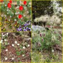 성남시립식물원 이미지