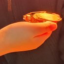 연천지역아동센터 이미지