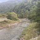 달둔소낭펜션 | [강원] 홍천펜션 강원도촌캉스 황토펜션 핫플숙소 추천 , 달둔소낭펜션