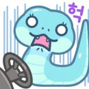 와우펫 이미지